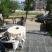 Apartmani Jovanov, , alojamiento privado en Baošići, Montenegro - IMG_20230719_162307
